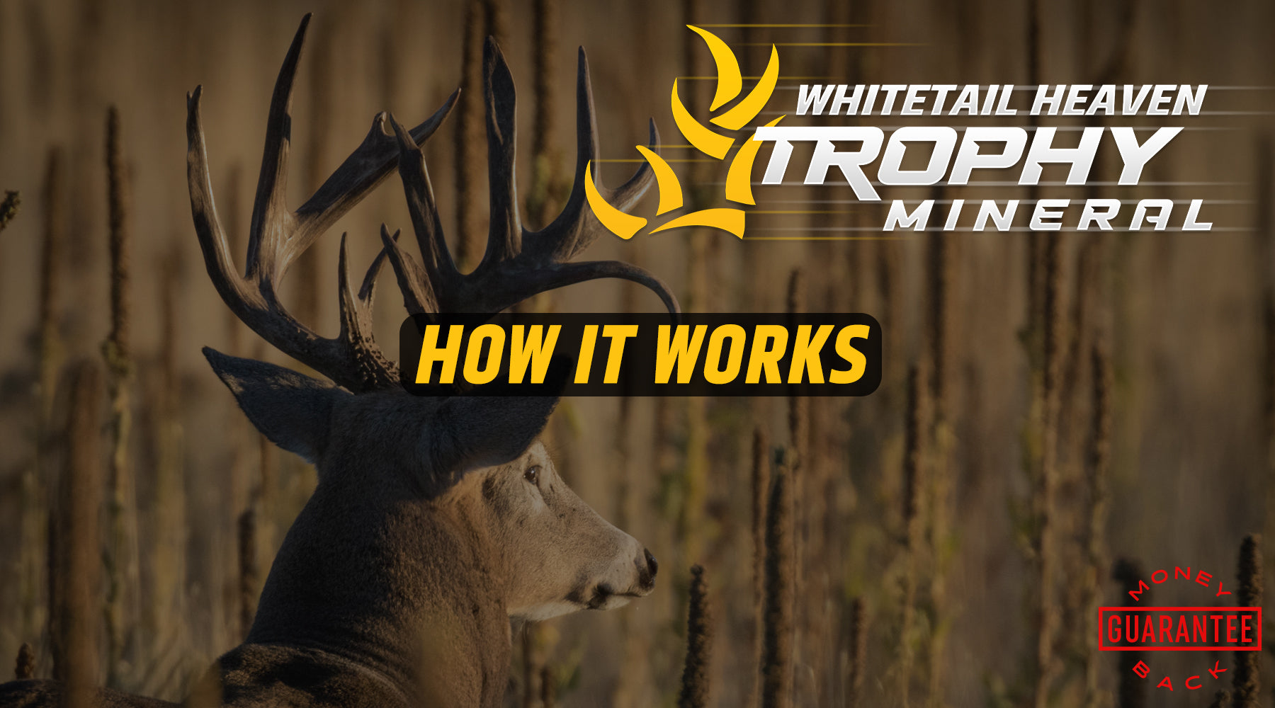 Whitetail Heaven Trophy Deer Mineral. How to create a mineral site. Best deer mineral blend